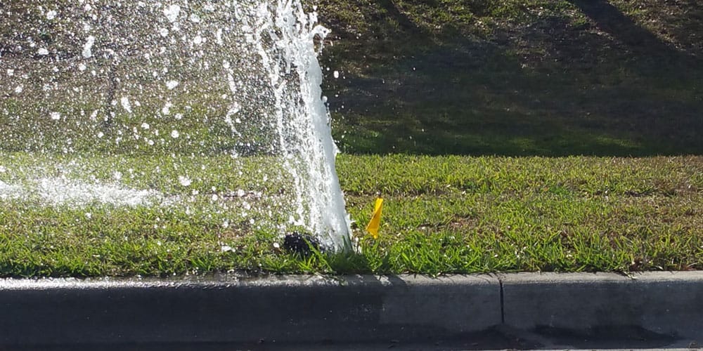 Water geyser shooting up from a broken sprinkler head in a lawn