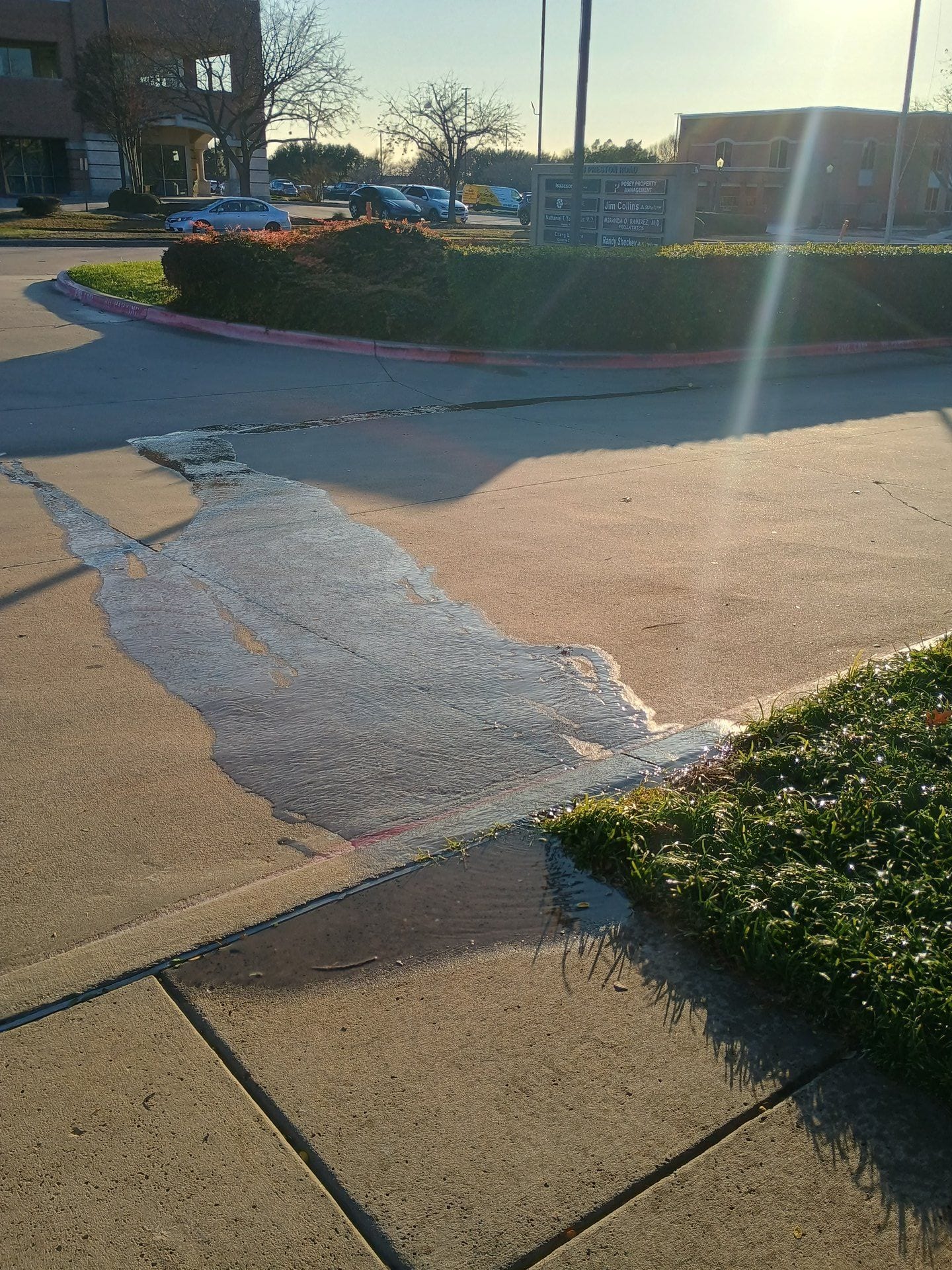Water pooling and running off a driveway from sprinkler overspray on clay soil