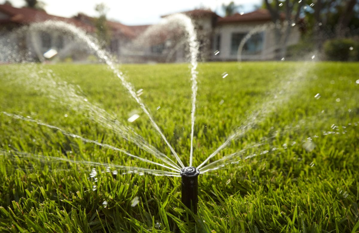 Hunter MP Rotator sprinkler creating efficient multi-stream spray pattern on green lawn