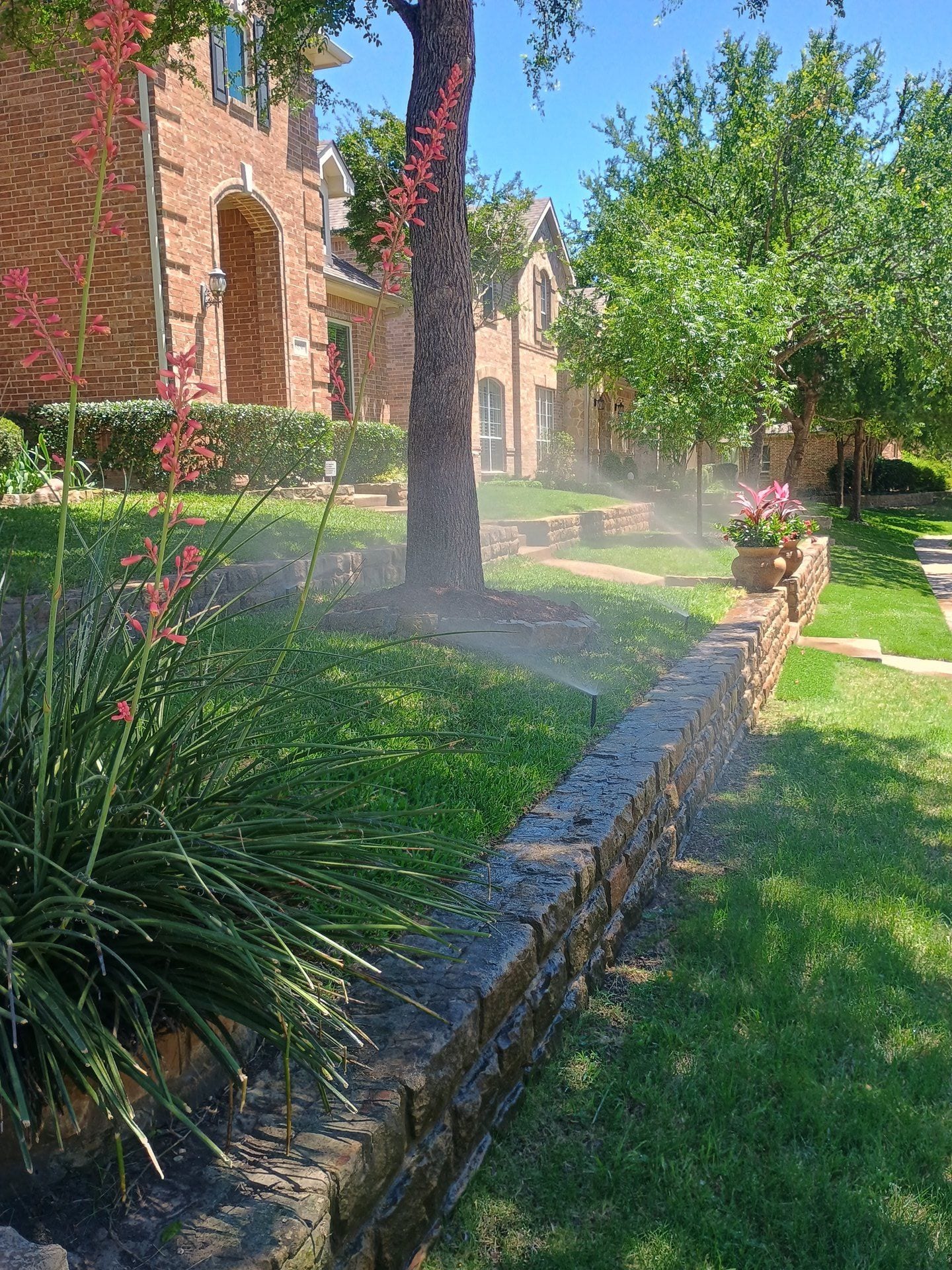 Spray zone watering a beautifully landscaped yard